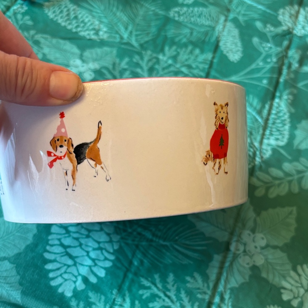 NEW Beth Briggs ceramic  dog bowl!
